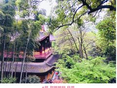 -灵隐飞来峰景区