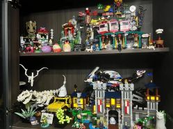 -乐高授权专卖店(华采天地店)