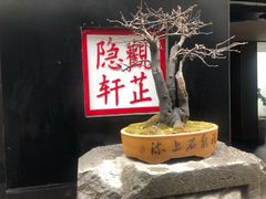 -觀芷隐轩