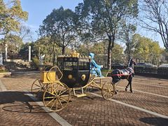 -三江森林温泉度假区