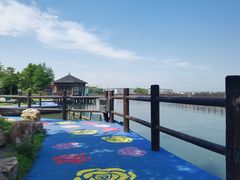 -鹅湖玫瑰文化园