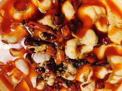 -青花椒花椒鱼(合生汇店)