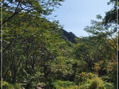 -大岭沟猕猴桃谷风景区