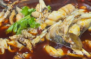 Cold Pot Fish and Frog