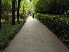 -唐城墙遗址公园
