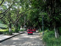 -广东茂名森林公园