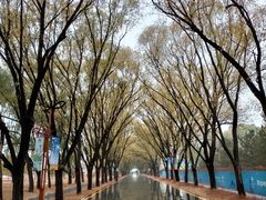 -野鸭湖国家湿地公园