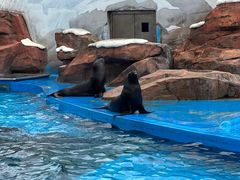 -上海海昌海洋公园
