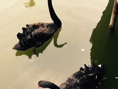 -园林格兰云天大酒店-太极名厨中餐厅