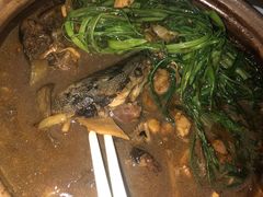 鲶鱼煲-海口滨海新村143号海南老字号炒菜店