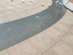 -中粮·祥云小镇
