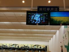 -广州保龄球馆(广州天河体育中心店)