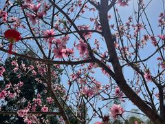 -常德桃花源景区