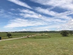 -塞罕坝国家级自然保护区