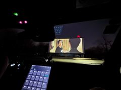 -枫花园汽车电影院(朝阳公园店)