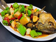 -不炭白烧烤(成都首店)
