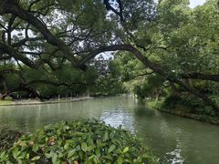 -西溪国家湿地公园