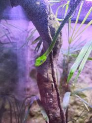 -酷嗒动物文化乐园(cutezoo西溪乐天城店)