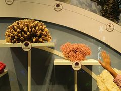 -中国湿地博物馆