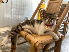 -铜瓢江湖兔火锅(水碾河社区店)