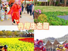 -丹樱生态园