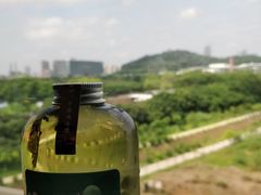 -奈雪的茶(深圳北站店)