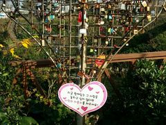 -龙头岩(Dragon Head Rock)