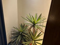 -吕氏焗小鲜•花园餐厅(八大关店)