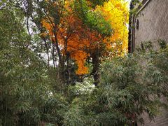 -西安市广仁寺
