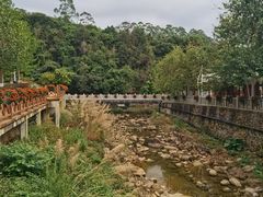 -广州白江湖森林公园