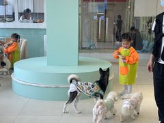 -怪兽屋·羊驼·猫咖·狗咖(俊华广场店)