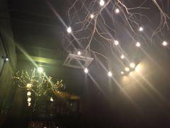 -土蚝·高压锅生蚝(百姓美食街店)