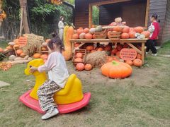 -HERRE·FARM 赫尔露营农场·团建聚会包场