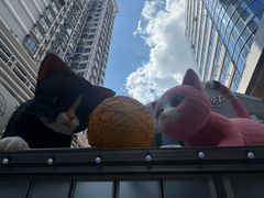 -巴厘龙虾·榜首油焖大虾(洞庭·艺术洋房店)