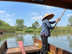 -溱湖国家湿地公园