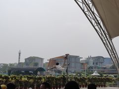 -百万葵园