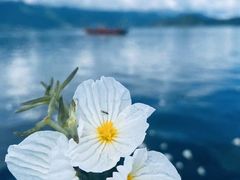 -丽江泸沽湖景区