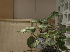 -锦江之星(苏州吴中万达广场友联地铁站店)