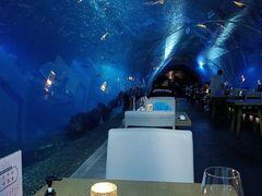 -涛·海底餐厅·美人鱼·自助餐·海底隧道(三亚海棠湾洲际度假酒店)