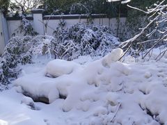 -静之湖湖畔餐厅