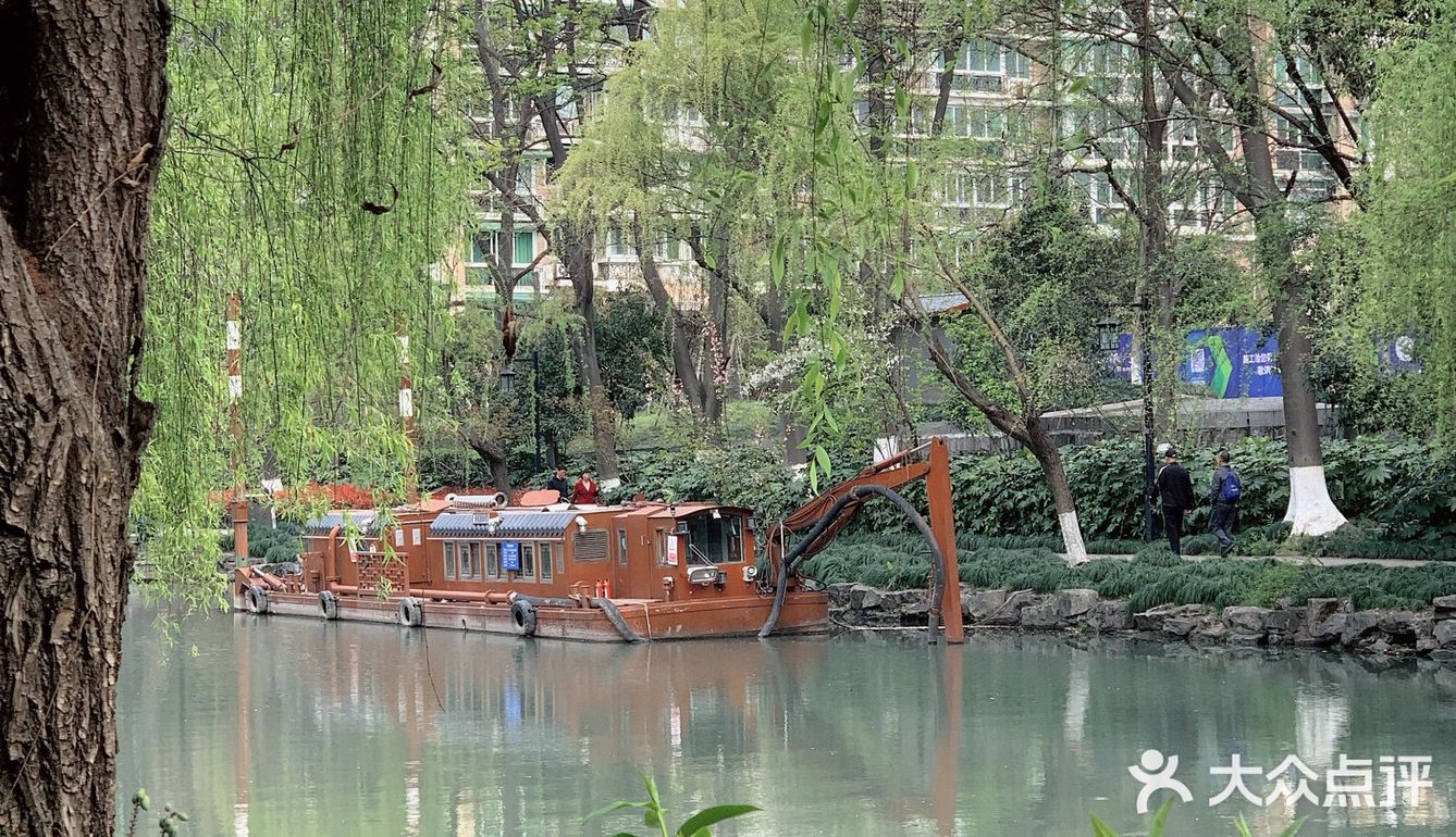 雨前再拍一次樱花｜葵巷