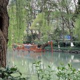 雨前再拍一次樱花｜葵巷