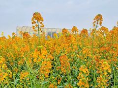 -中国天府农业博览园