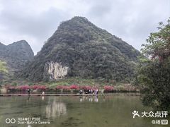 -靖西鹅泉风景区