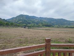 -风云岭森林公园