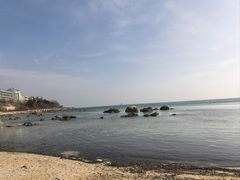 -养马岛旅游度假区