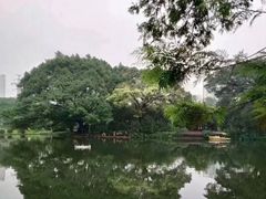 -晓港公园