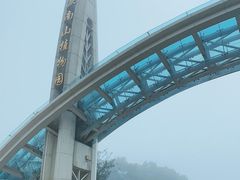 -南山植物园