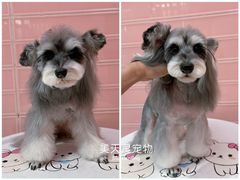 -FAELING PETS美天灵宠物(合生汇店)