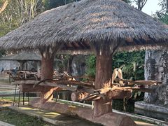 -清迈夜间动物园